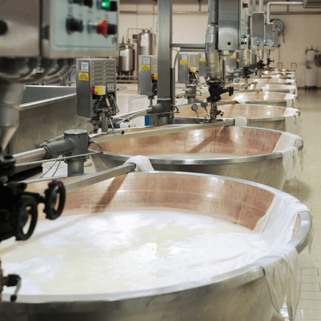 Parmesan Cheese Factory Tour & Tasting near Parma