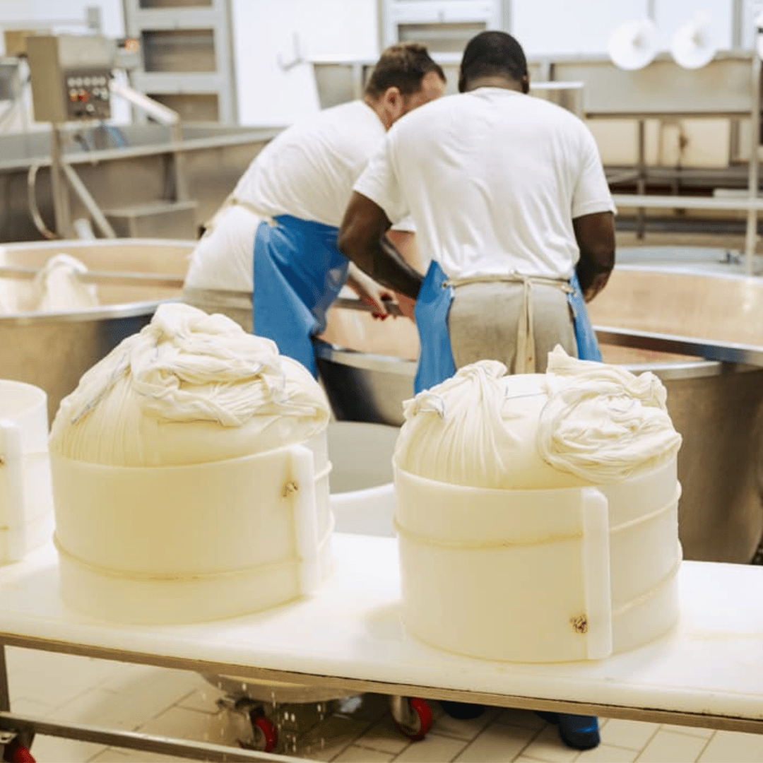 Parmesan Cheese Factory Tour & Tasting near Parma