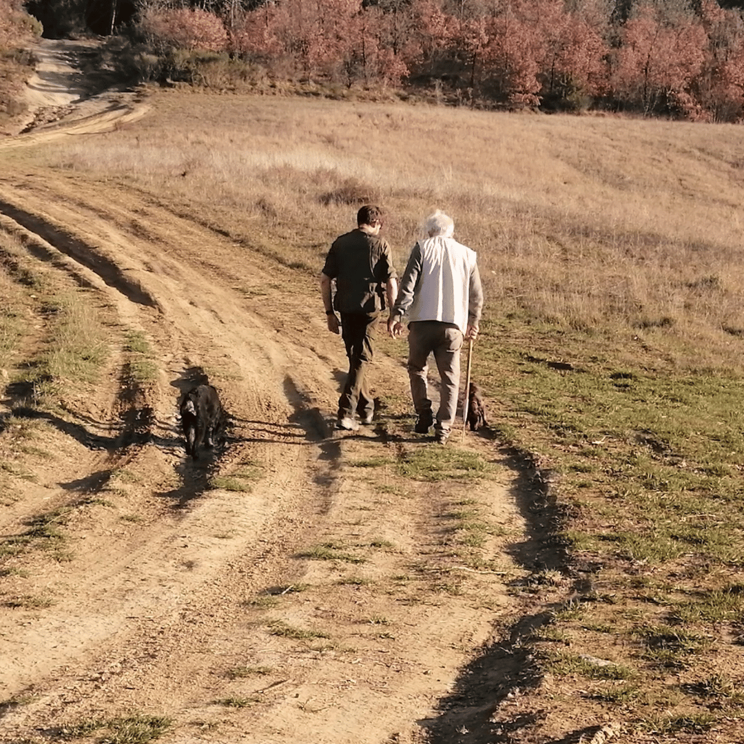 Truffle Tasting near Perugia with Museum Visit