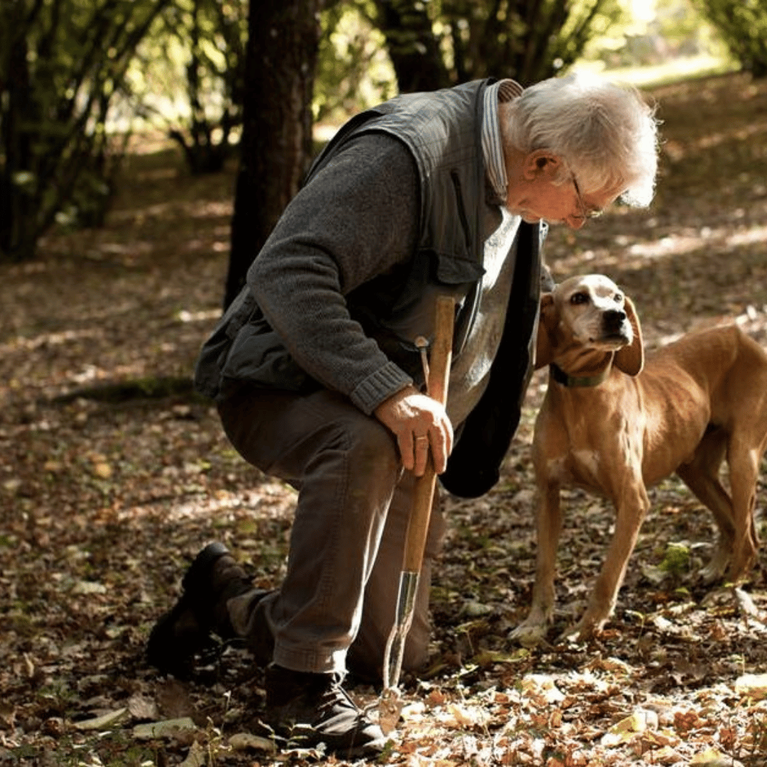 Truffle Tasting near Perugia with Museum Visit