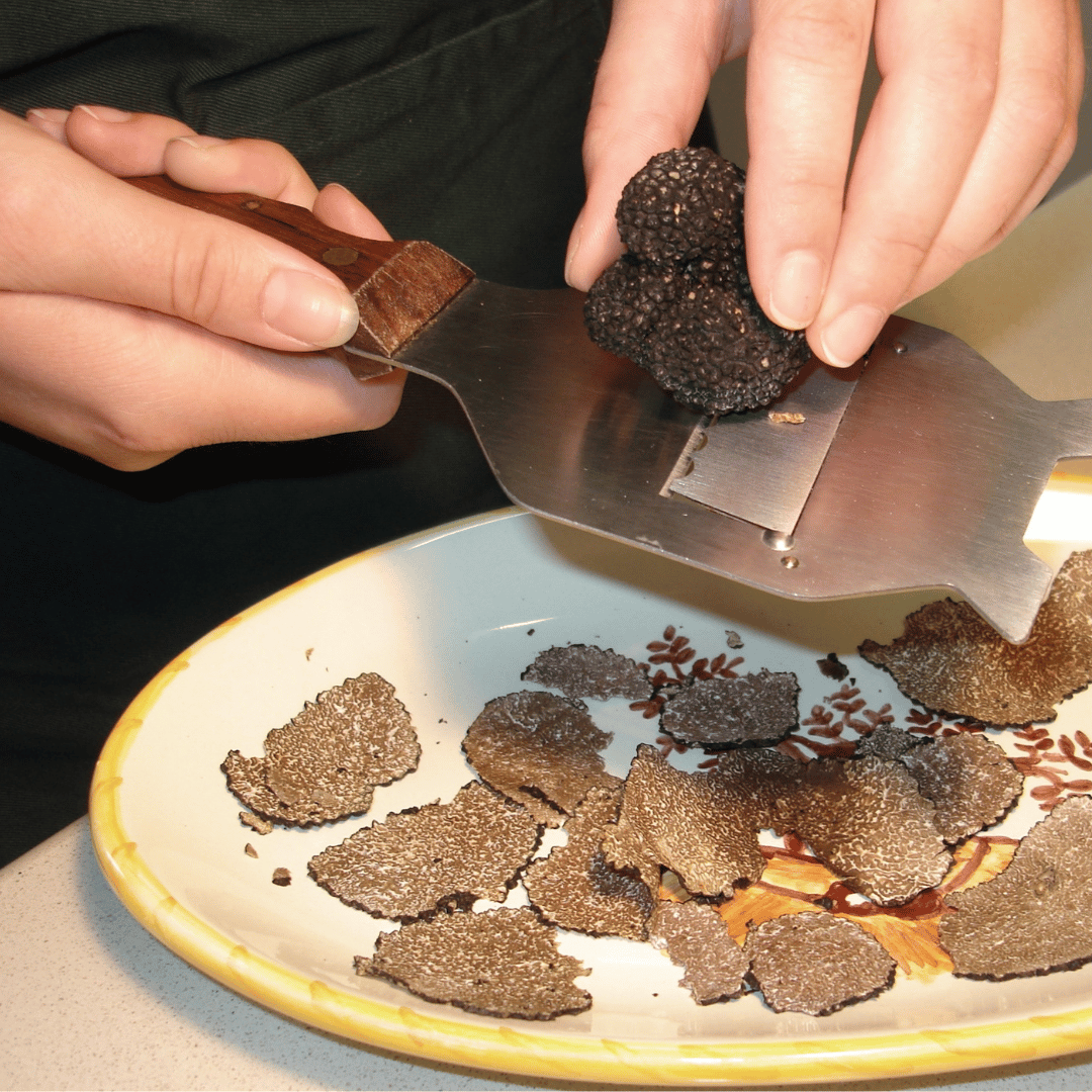 Truffle Tasting near Perugia with Museum Visit