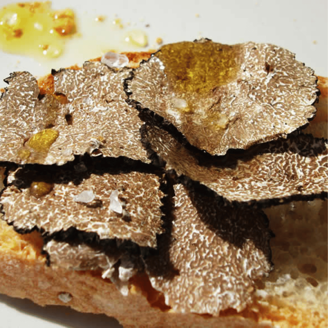 Truffle Tasting near Perugia with Museum Visit