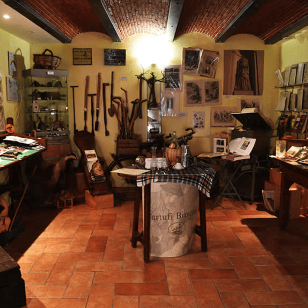 Truffle Tasting near Perugia with Museum Visit