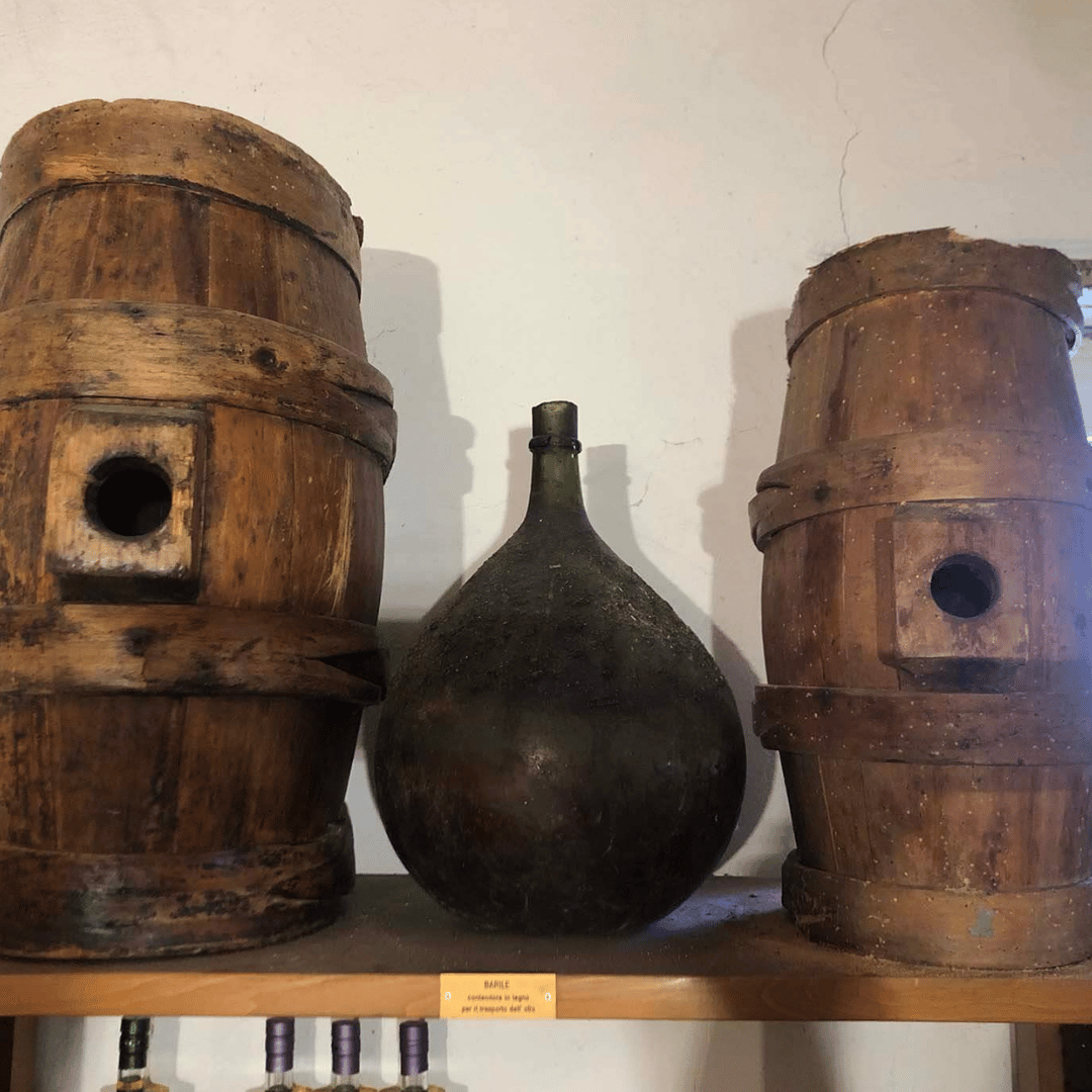 Degustazione di Olio d'Oliva e Visita Guidata al Frantoio a Perugia