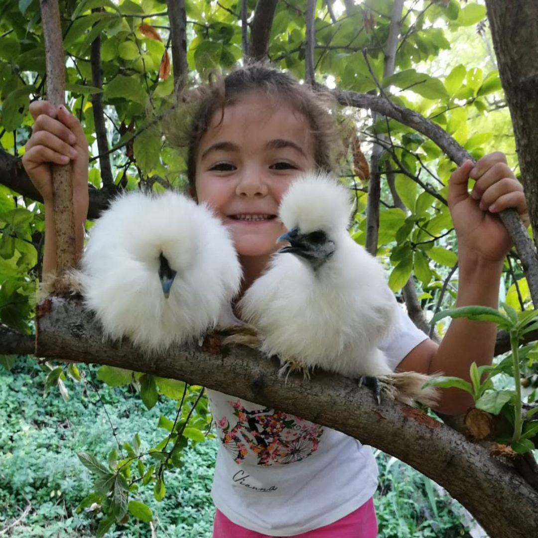 Hands-On Nature: Animals and Wild Herbs at a Pesaro Farm