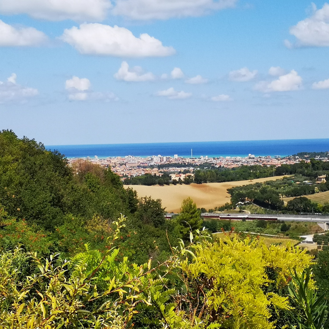 Hands-On Nature: Animals and Wild Herbs at a Pesaro Farm
