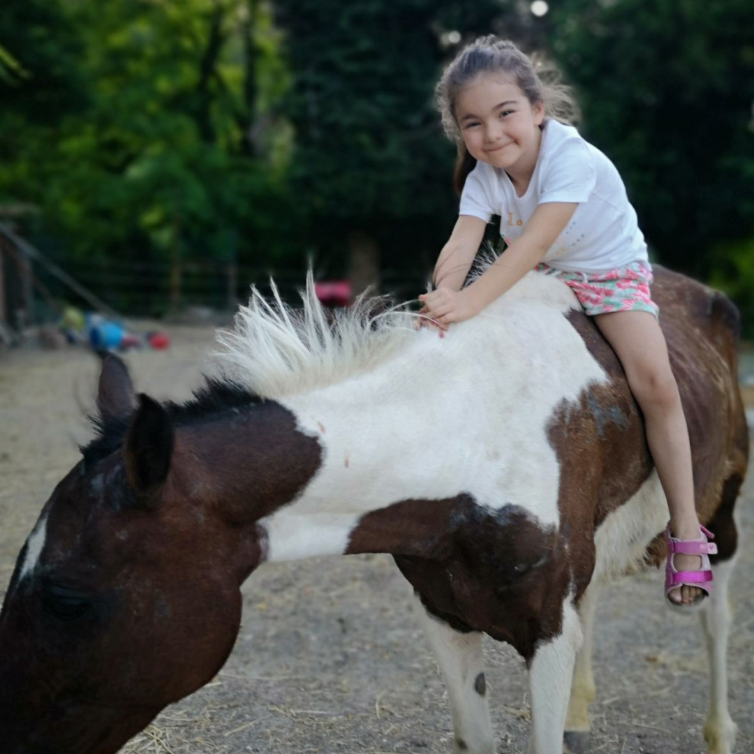 Hands-On Nature: Animals and Wild Herbs at a Pesaro Farm