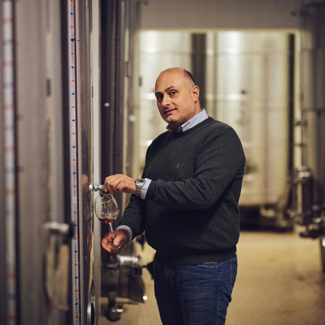 Luxury Winery Tour with Wine and Food Tasting in Sorrento 2 Naples