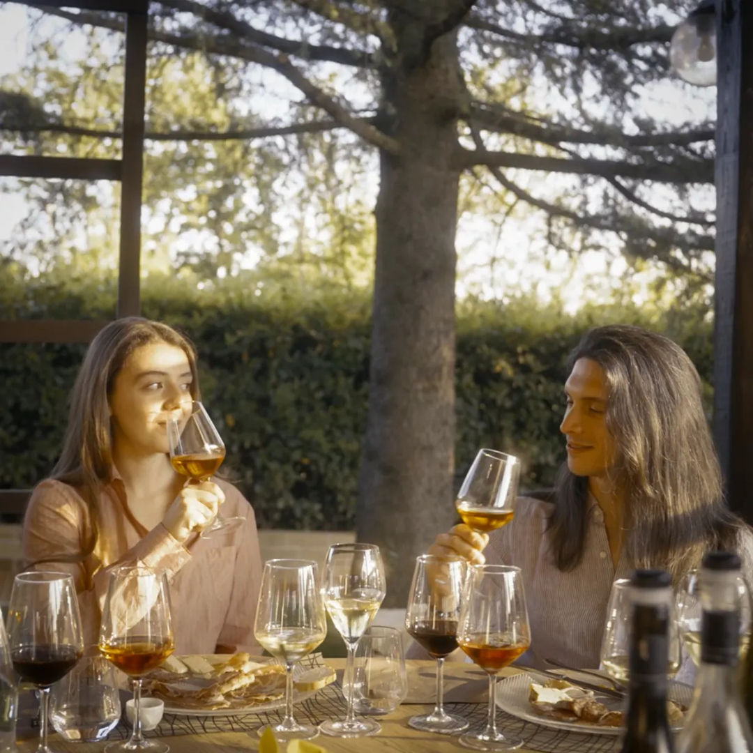 Wine Tour and Tasting at Countryside Winery near Rieti