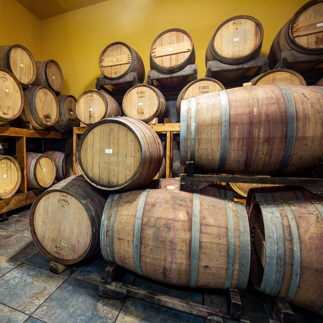 Wine Tour and Tasting at Countryside Winery near Rieti