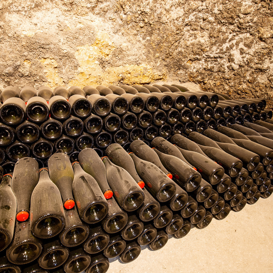 Wine Tour and Tasting at Countryside Winery near Rieti