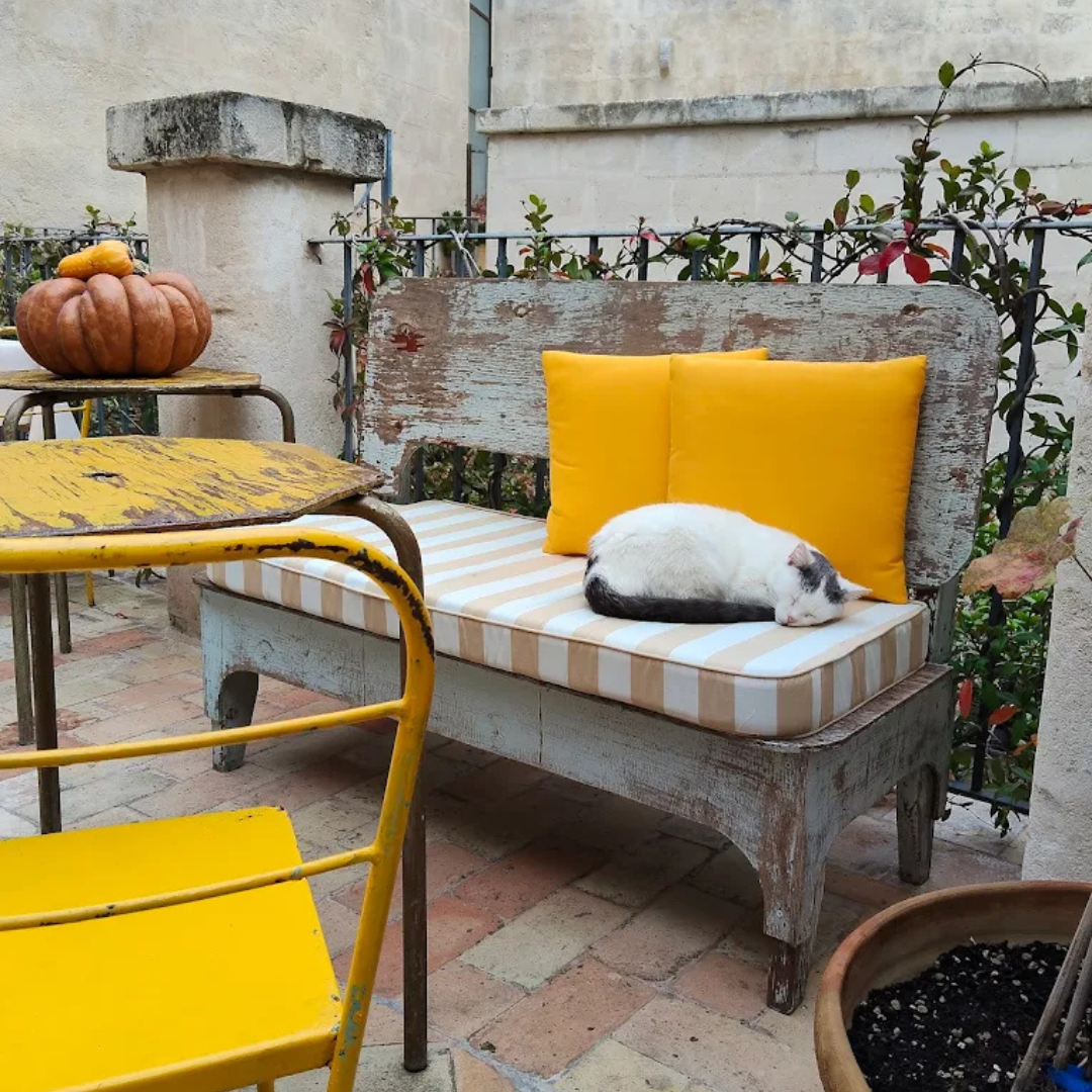 Wine Tasting with Local Cheeses & Cured Meats in Matera 6 Matera