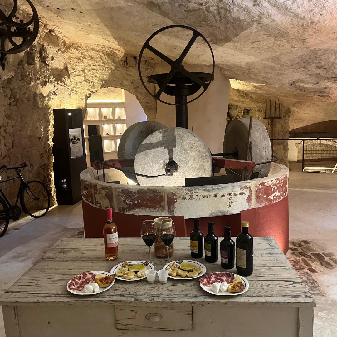 Underground Olive Mill Tour & Tasting near Alberobello & Ostuni