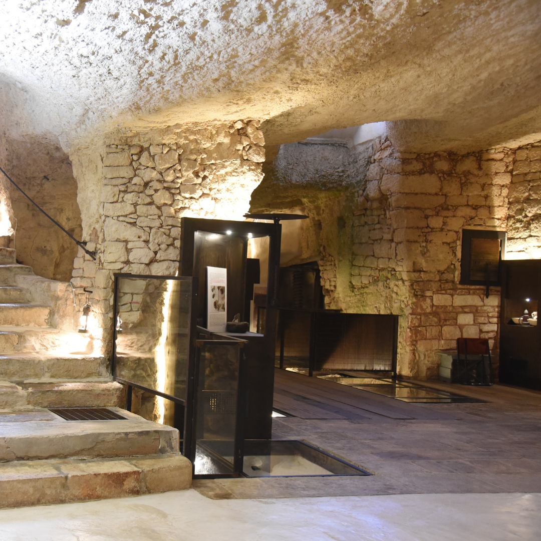 Underground Olive Mill Tour & Tasting near Alberobello & Ostuni