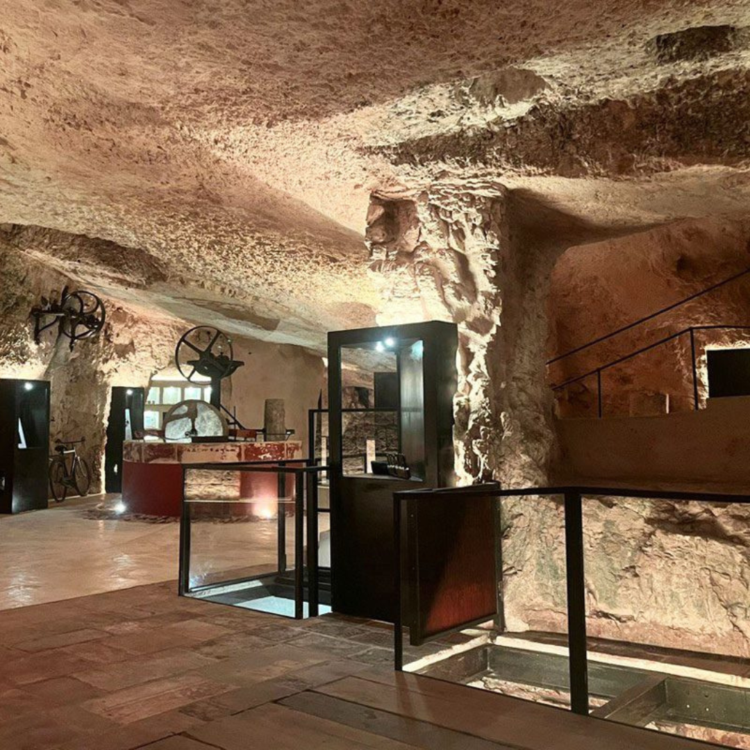 Underground Olive Mill Tour & Tasting near Alberobello & Ostuni