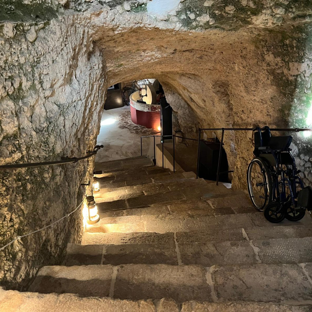 Underground Olive Mill Tour & Tasting near Alberobello & Ostuni