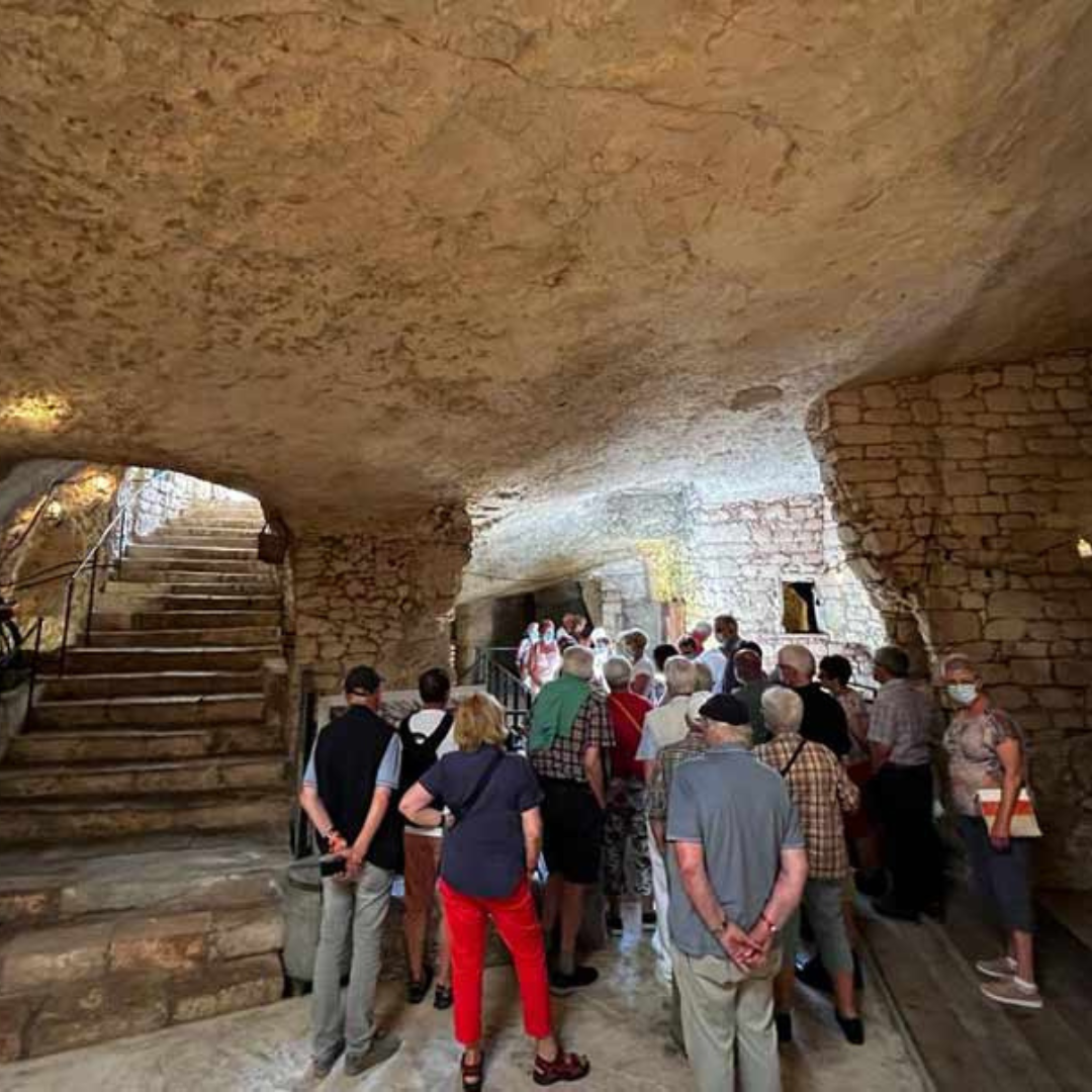 Underground Olive Mill Tour & Tasting near Alberobello & Ostuni