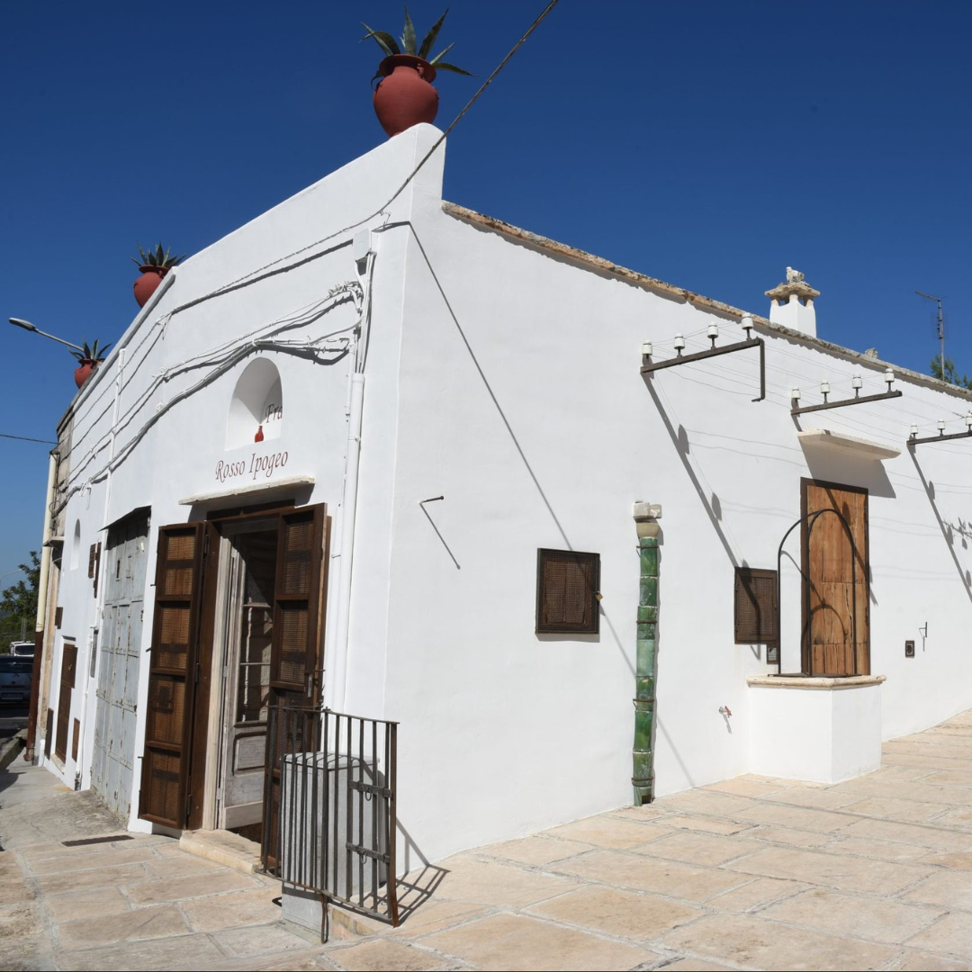 Underground Olive Mill Tour & Tasting near Alberobello & Ostuni