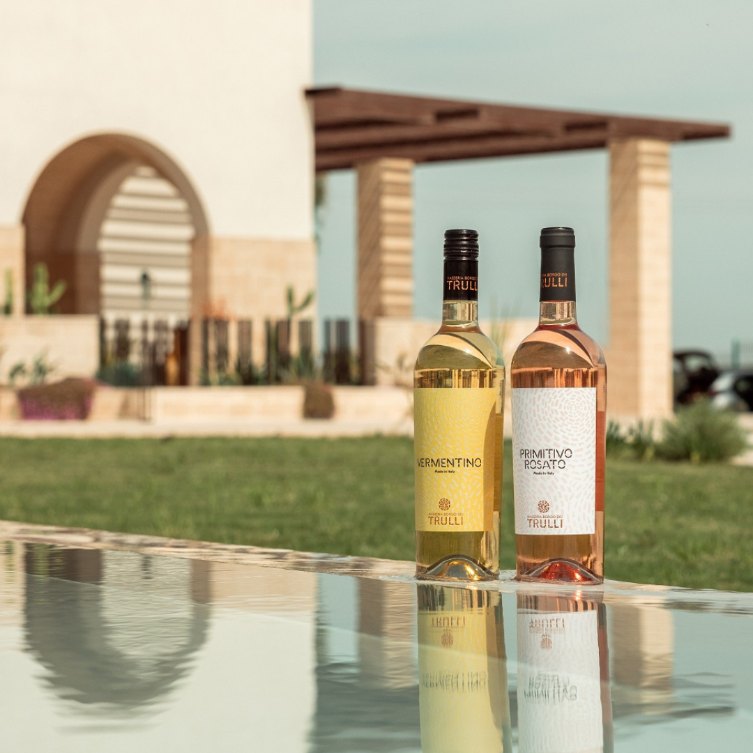 Vineyard Walk and Tasting at a Masseria Winery near Taranto