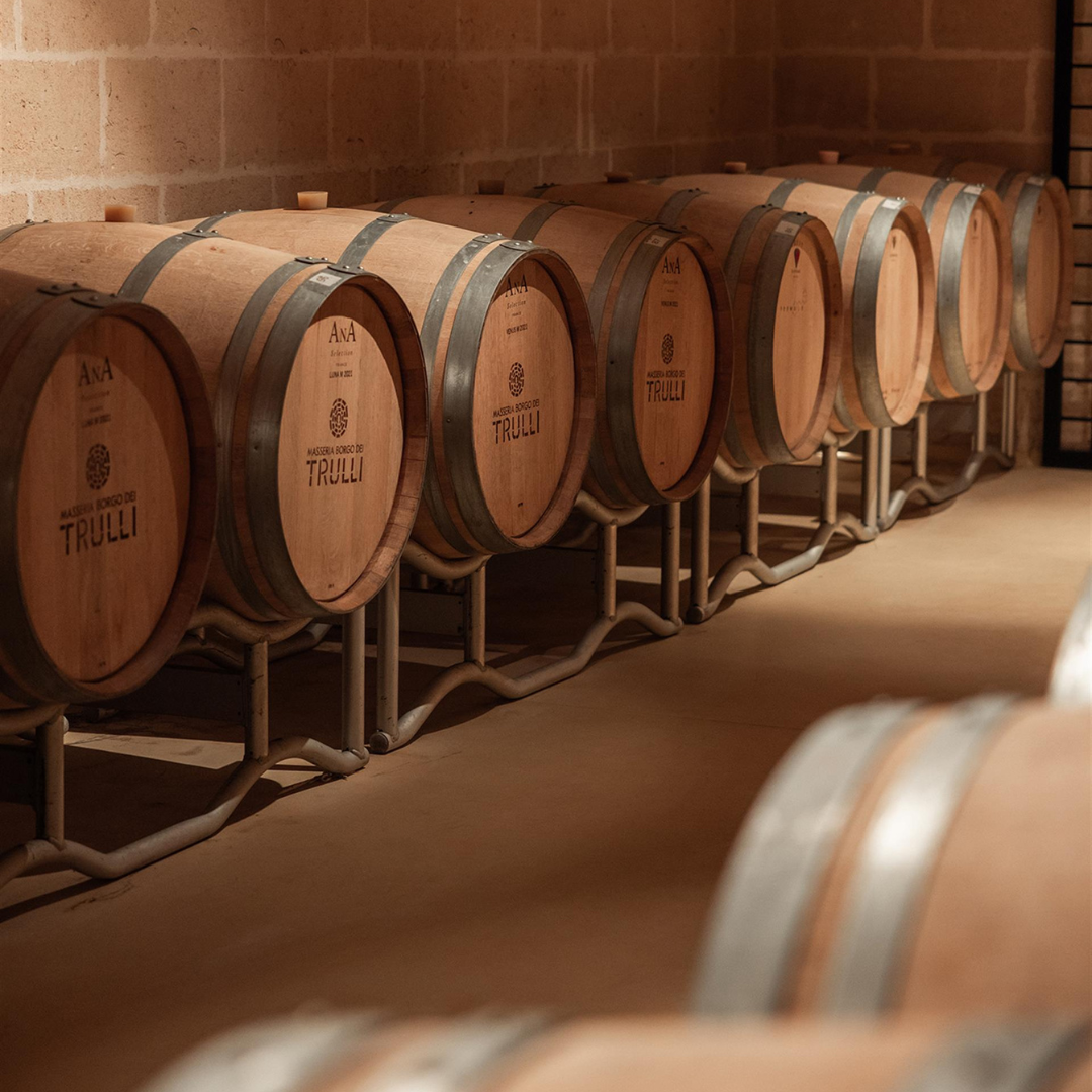Vineyard Walk and Tasting at a Masseria Winery near Taranto
