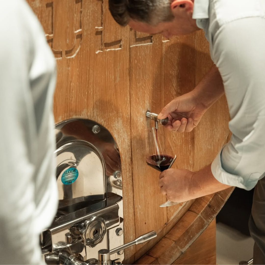 Vineyard Walk and Tasting at a Masseria Winery near Taranto