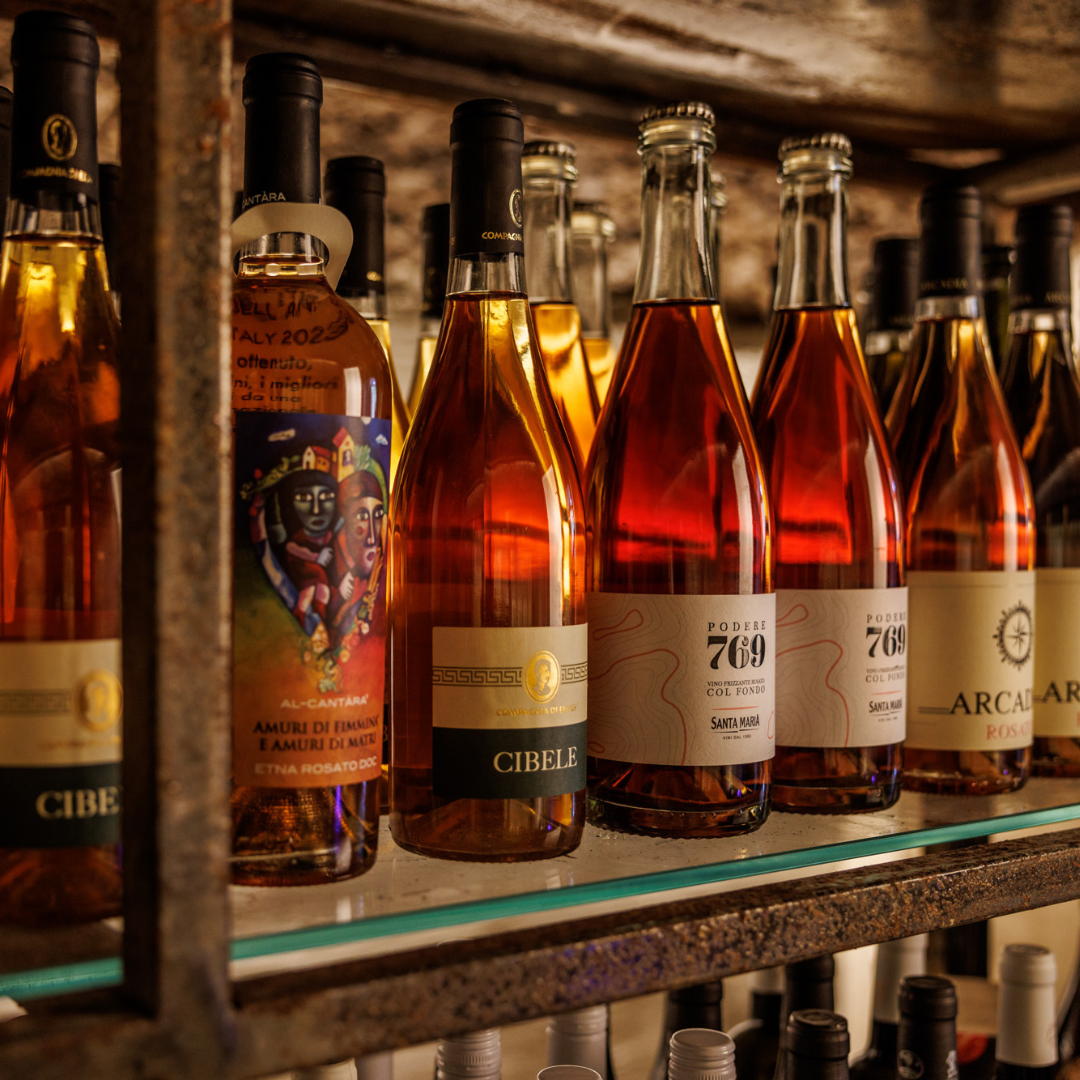 Wine Tasting & Food Pairing in Underground Cellar in Rome