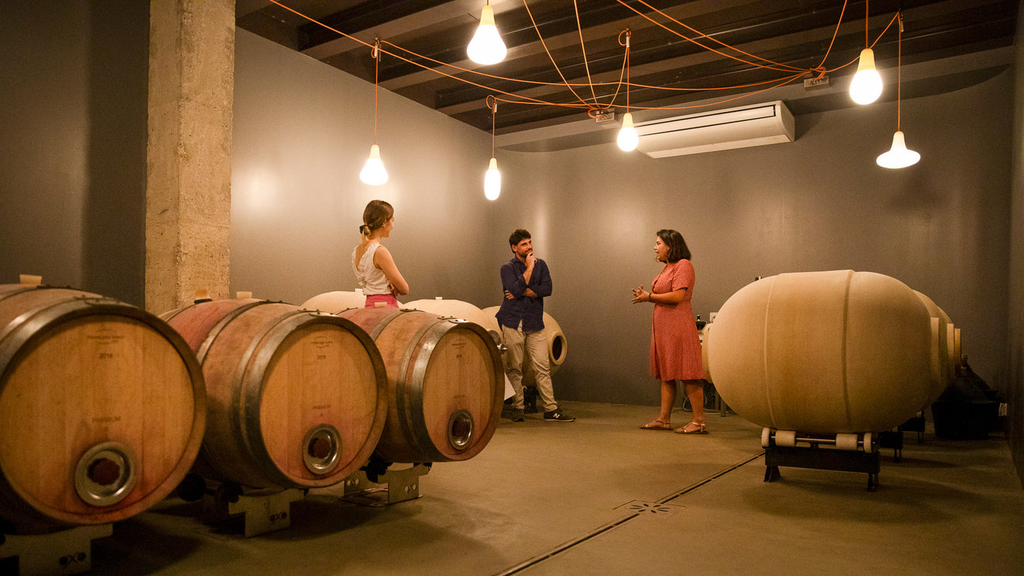 Esperienza del Vino Bardolino