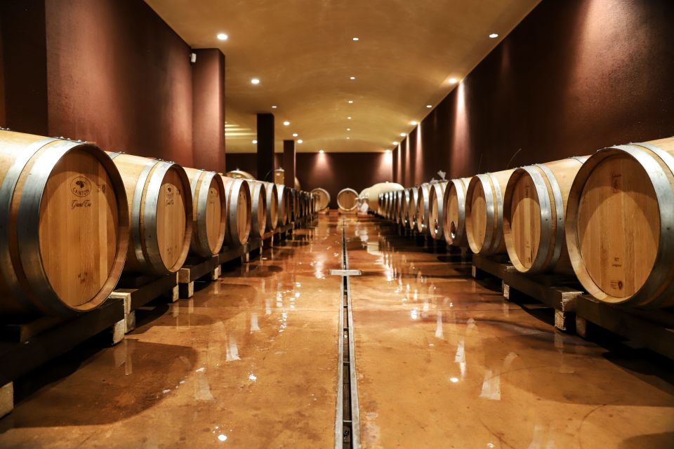 Esperienza del Vino Bardolino