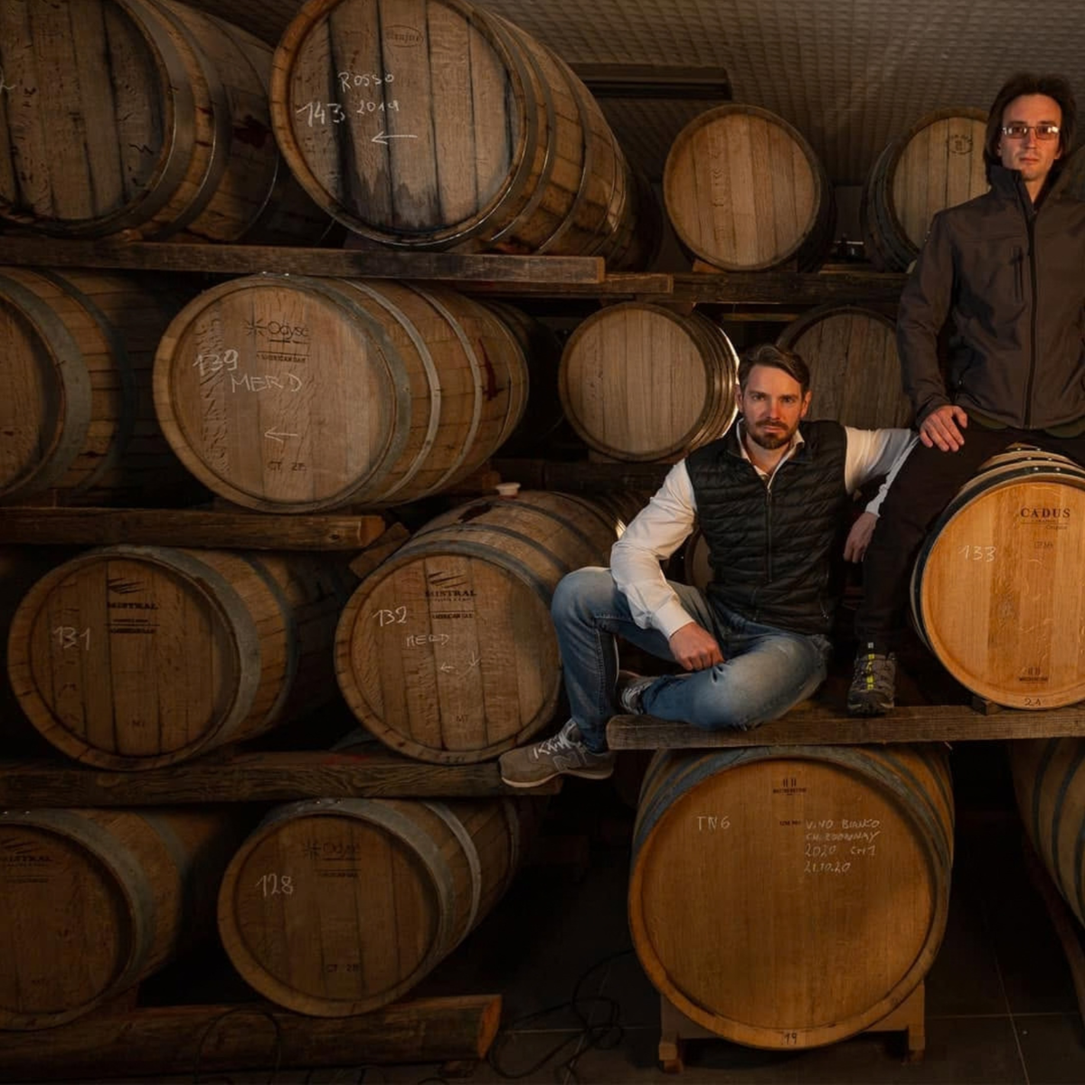Trieste: Winery Visit & Tasting 6 Trieste