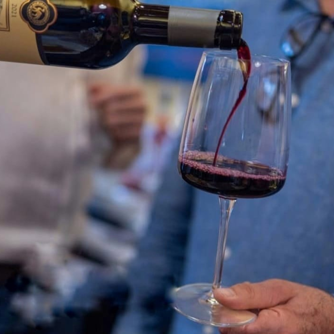 Guided Wine Tasting with Local Food Pairings in Livorno 8 Livorno