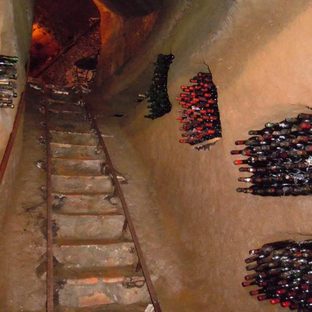 Wine Tasting with Food and Tufa Cellar Visit in Orvieto 4 Terni