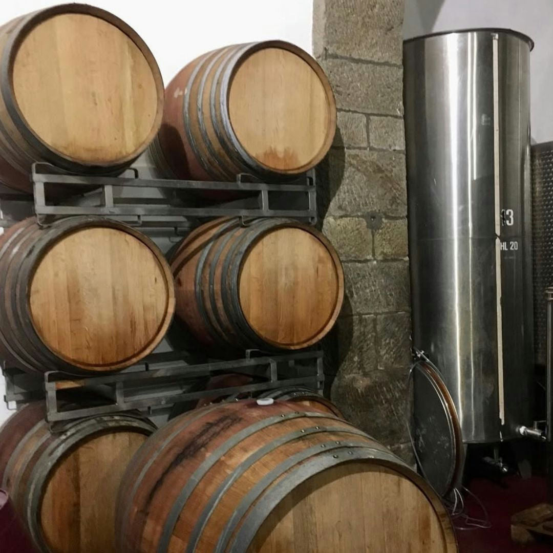 Organic Wine Tasting with Local Food & Stroll in Roccalbegna 4 Grosseto