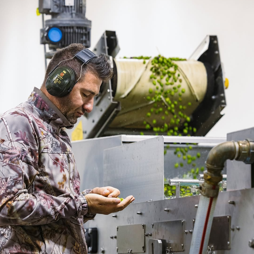 Olive Mill Tour with Tasting near Spoleto & Foligno 8 Perugia