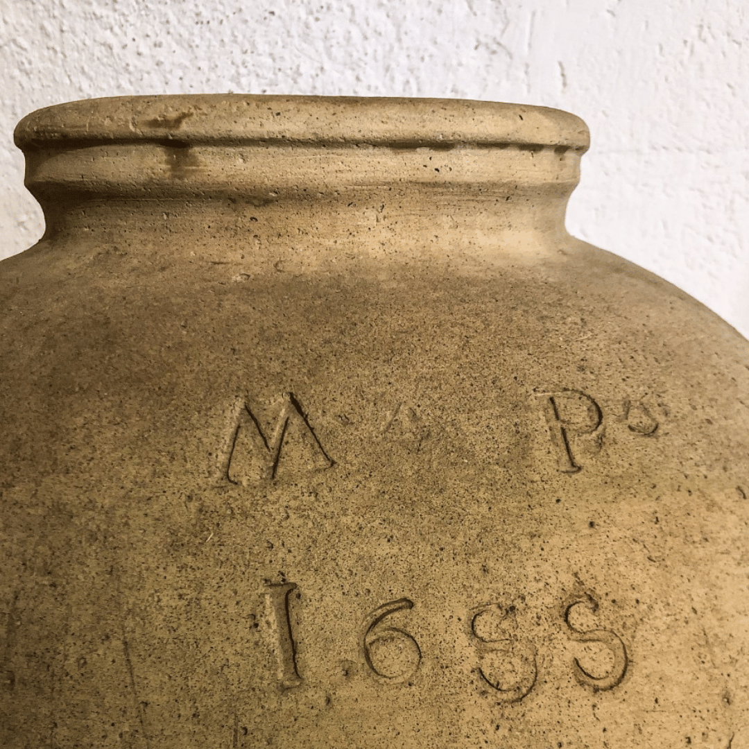 Degustazione di Olio d'Oliva e Visita Guidata al Frantoio a Perugia
