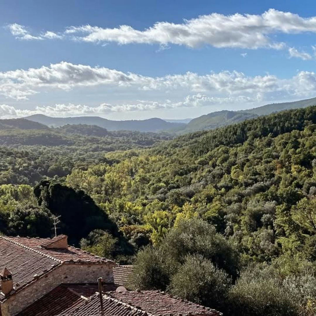 Organic Wine Tasting with Local Food & Stroll in Roccalbegna 6 Grosseto
