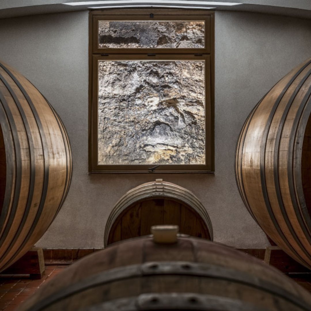 Blindfolded Wine Tasting with Game and Gift in Marsala 5 Trapani