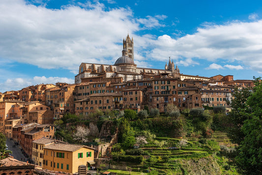 Siena - promo discount for visitors and participants of Siena Cathedral 