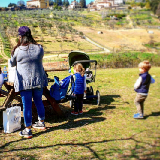 Fattoria di Maiano - photo