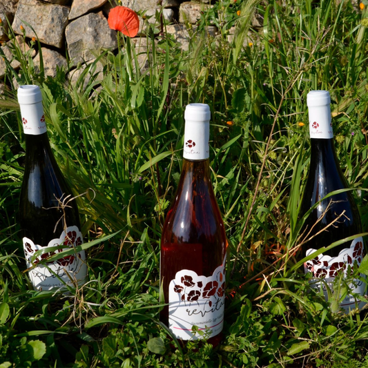Tenute Rosato - photo