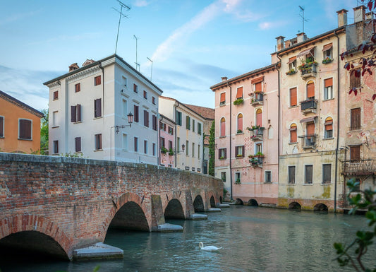 Treviso - promo discount for visitors and participants of Palazzo dei Trecento 