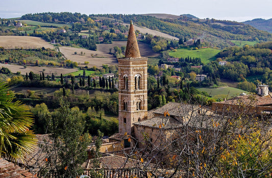 Urbino - promo discount for visitors and participants of Ducal Palace (Palazzo Ducale) 