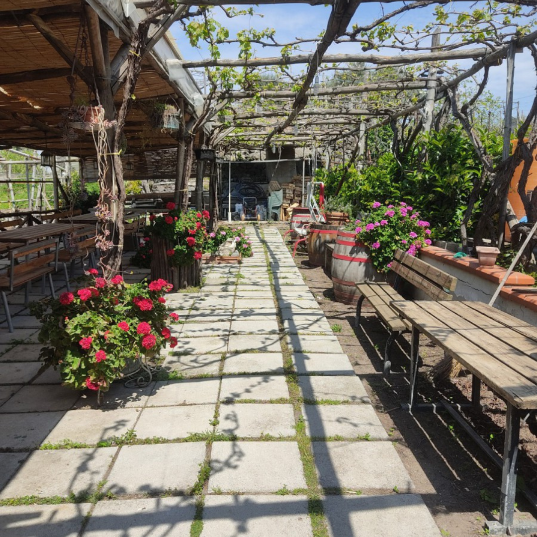Fuocomuorto Winery - photo