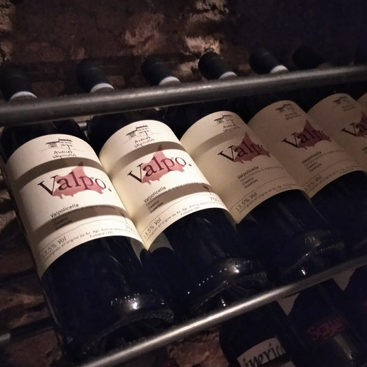 Guide to Managing a Tasting Experience