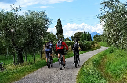 E-Bike Tour and Wine Tasting from Bardolino