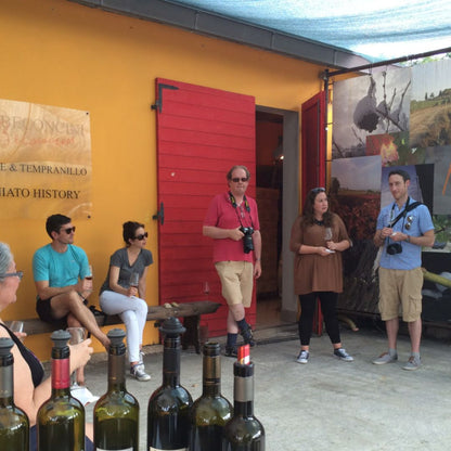 Organic Wine Tasting and Vineyard Tour near Empoli and Pisa