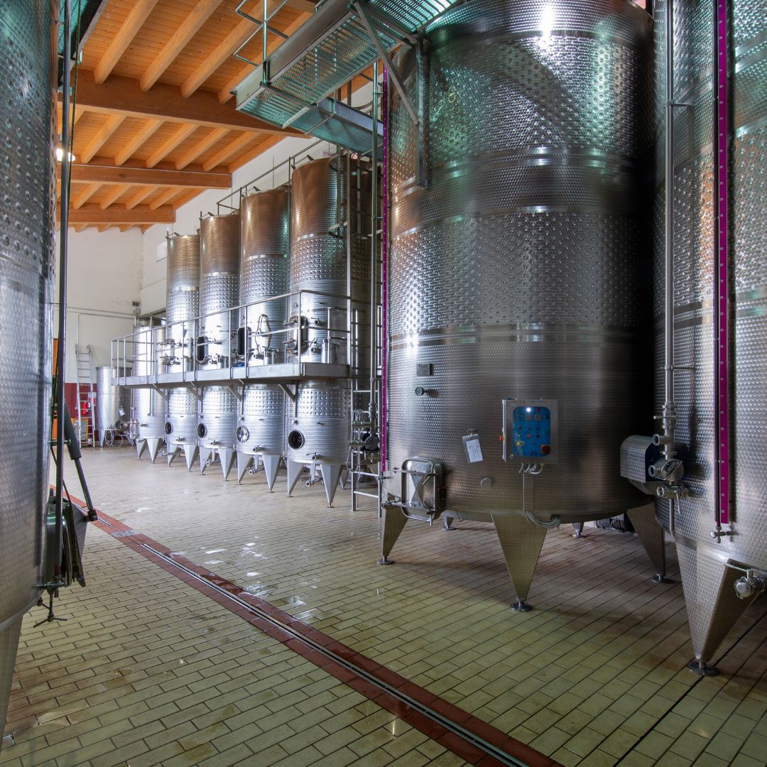 Abbey Tour, Wine Tasting and Light Lunch near Pisa