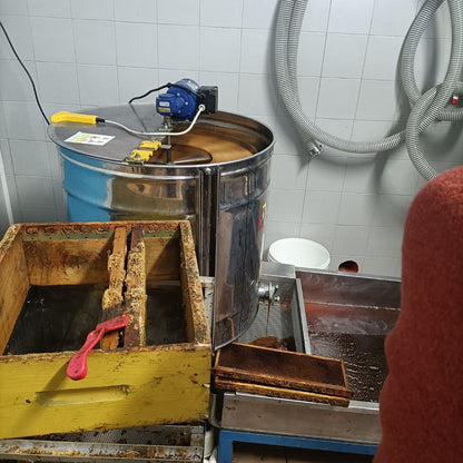 Esperienza di Degustazione di Miele e Idromele nel Monferrato