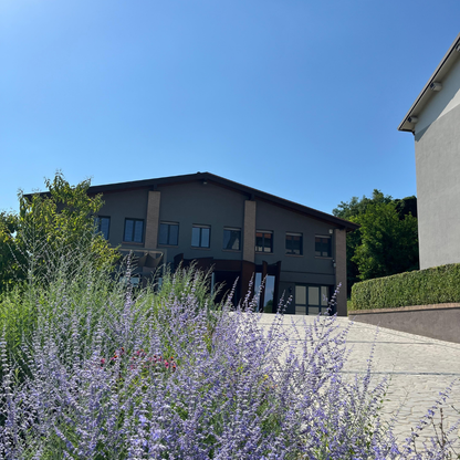 Weinbergbesuch auf den Parma-Hügeln & Weinprobe mit Speisenplatte