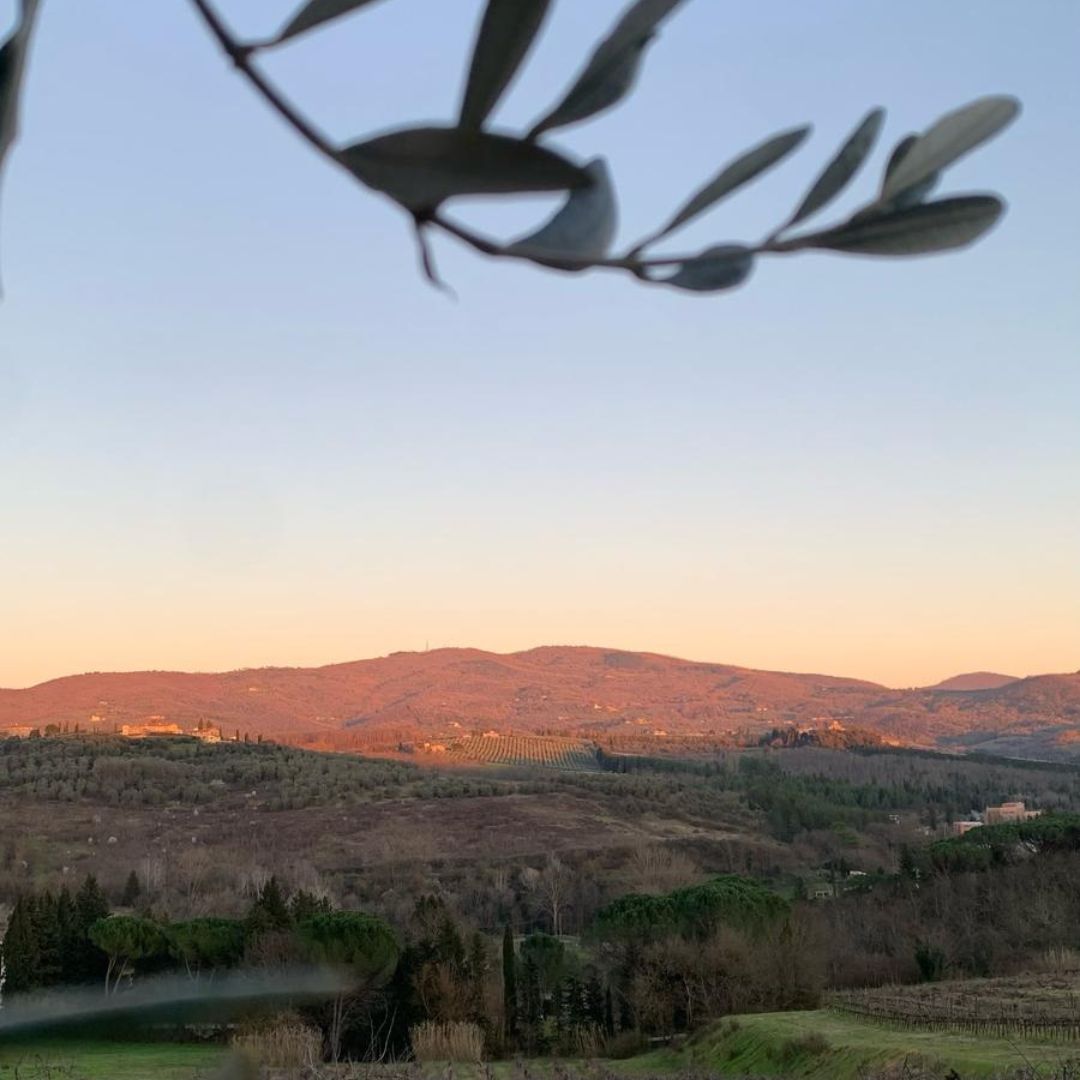 Chianti Winery Tour with VR & Blind Tasting near Florence