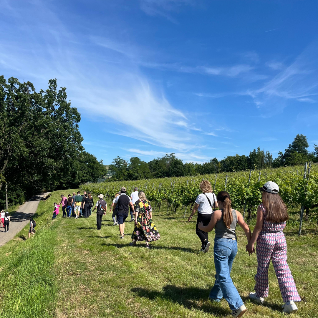 Weinbergbesuch auf den Parma-Hügeln & Weinprobe mit Speisenplatte
